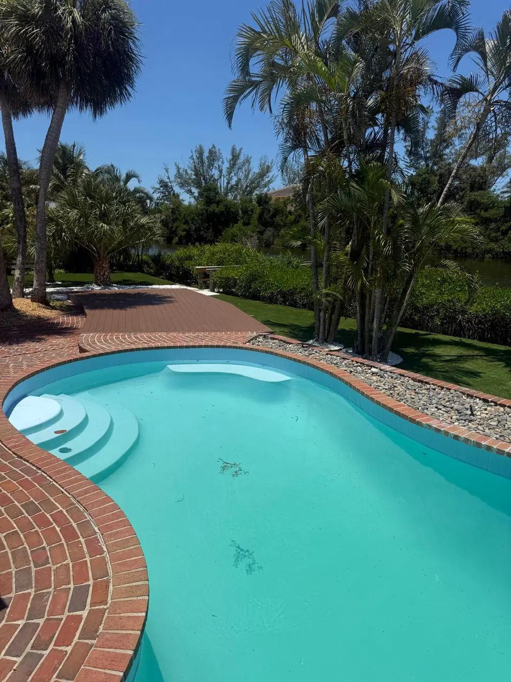 Pool deck and palms behind a home we renovated